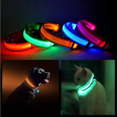 LED Pet Safety