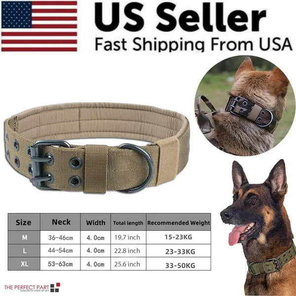 K9Forge