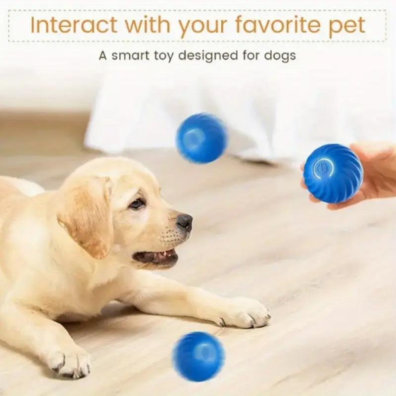 PawBounce