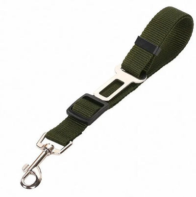 SafeRide - Premium Car Leash