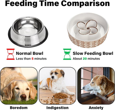 SlowPaw - Ceramic Slow Feeder Dog Bowl