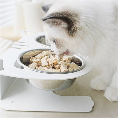 NoSpill Bowl