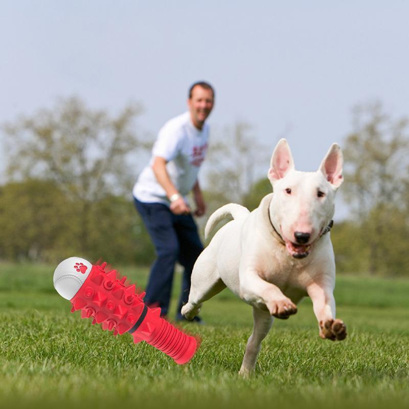 PawPlay Pro