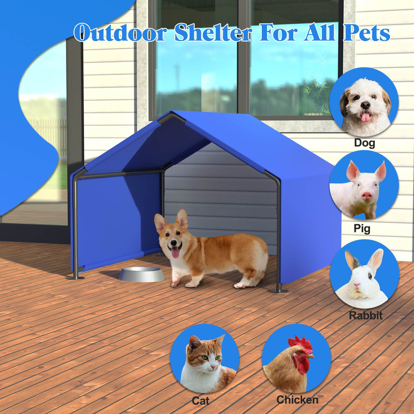 PetShelter