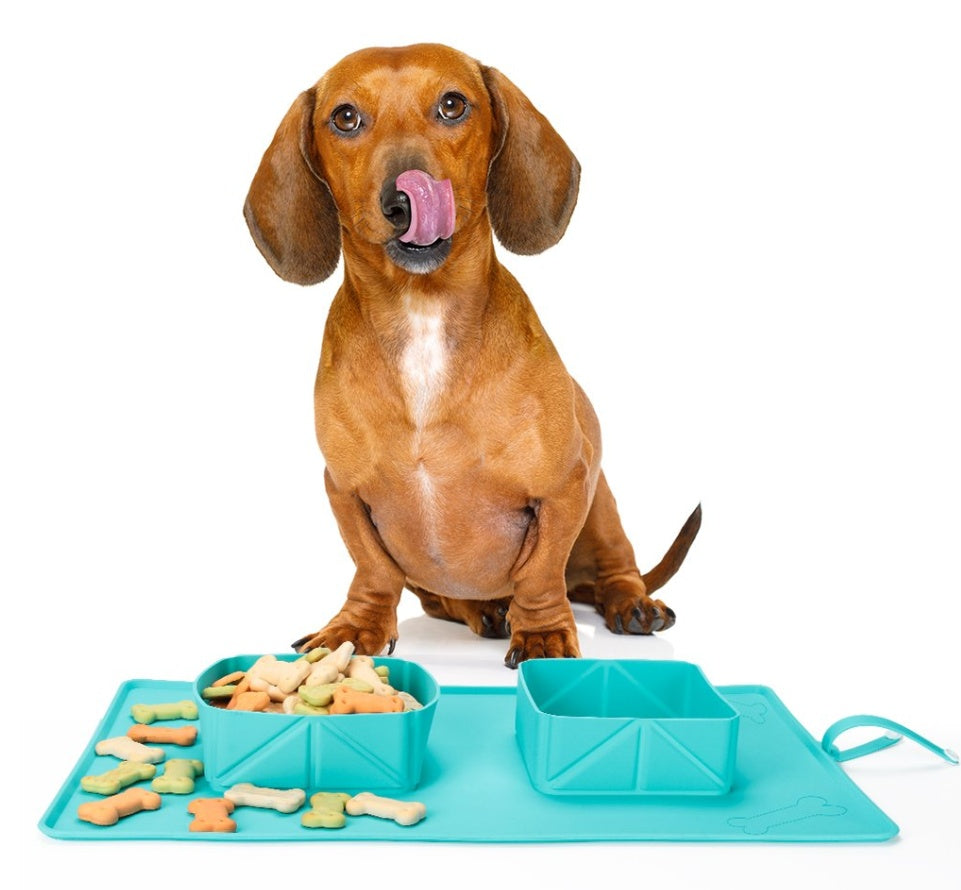 PuppyBowl - Gamelles en silicone