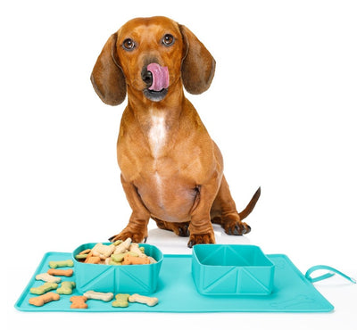 PuppyBowl - Gamelles en silicone