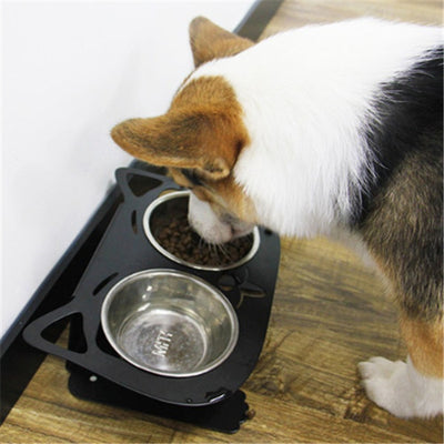 NoSpill Bowl