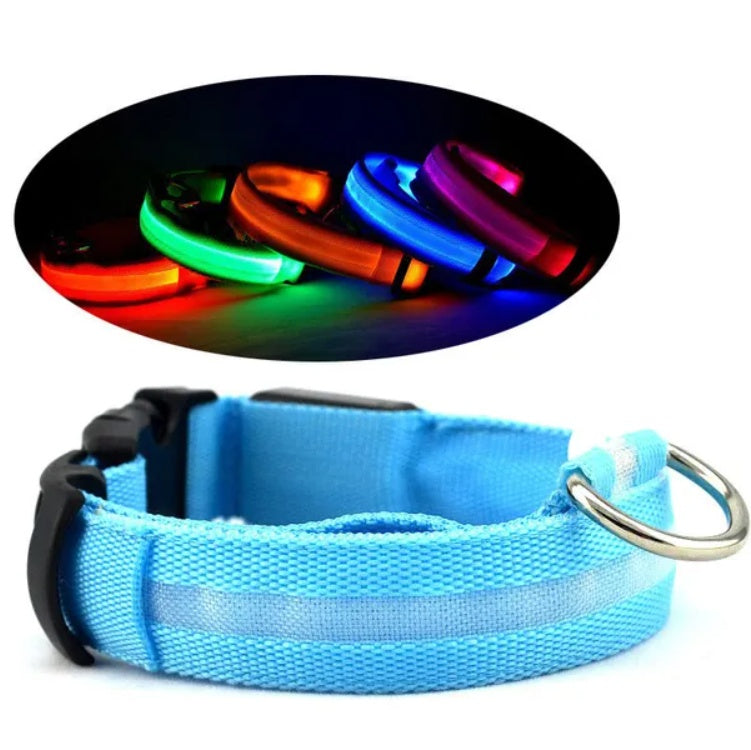LED Pet Safety