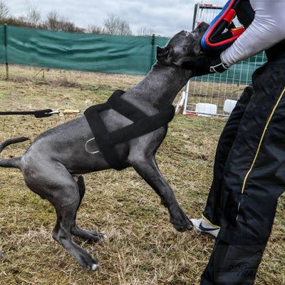 PowePaw - Dog Weight Pulling Harness