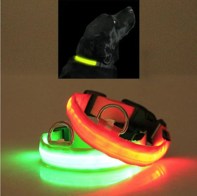 LED Pet Safety