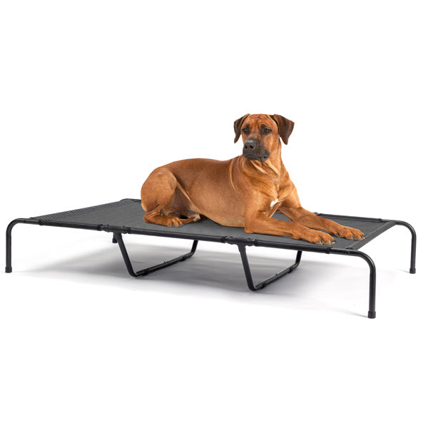 PetBeds