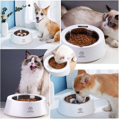 PaceBowl - Smart Slow Feeder Bowl