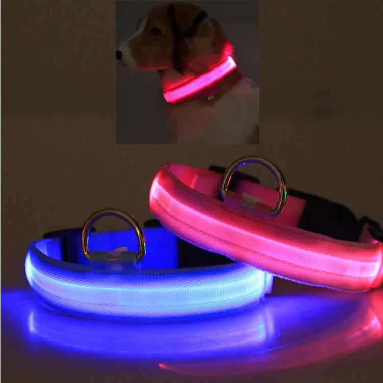 LED Pet Safety