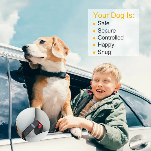 Pet Dog Seat Belt Leash - 2Pcs