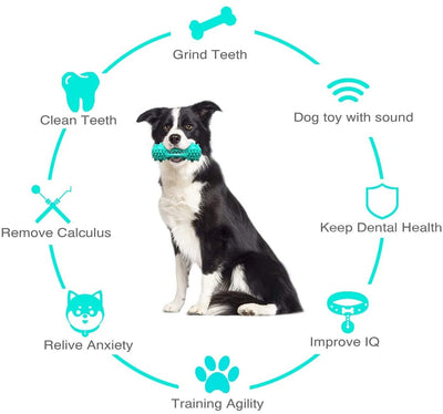 Bâton DentalPaw