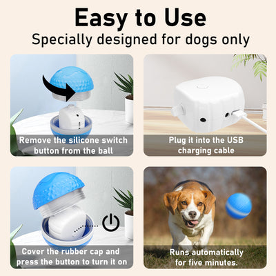 Balle SmartPaw