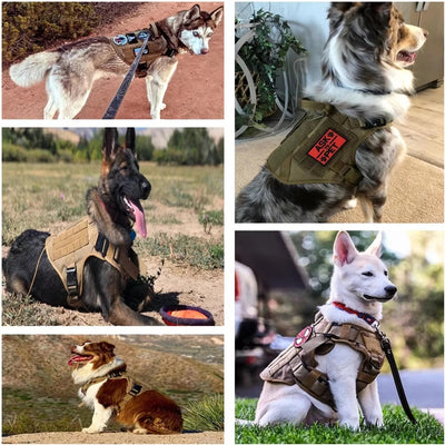 Pet Harness - Luxury