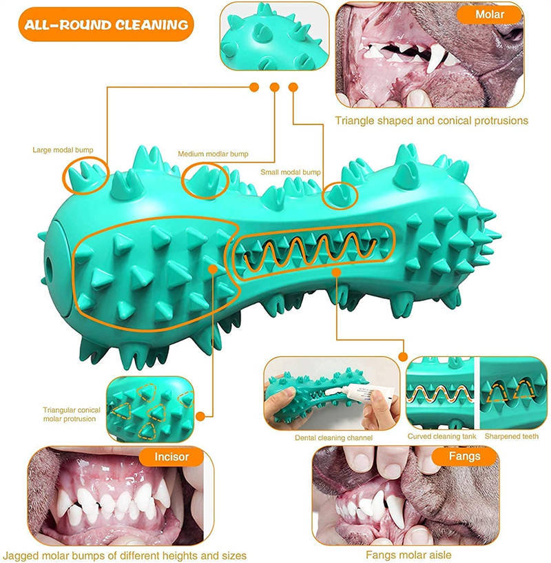 Bâton DentalPaw