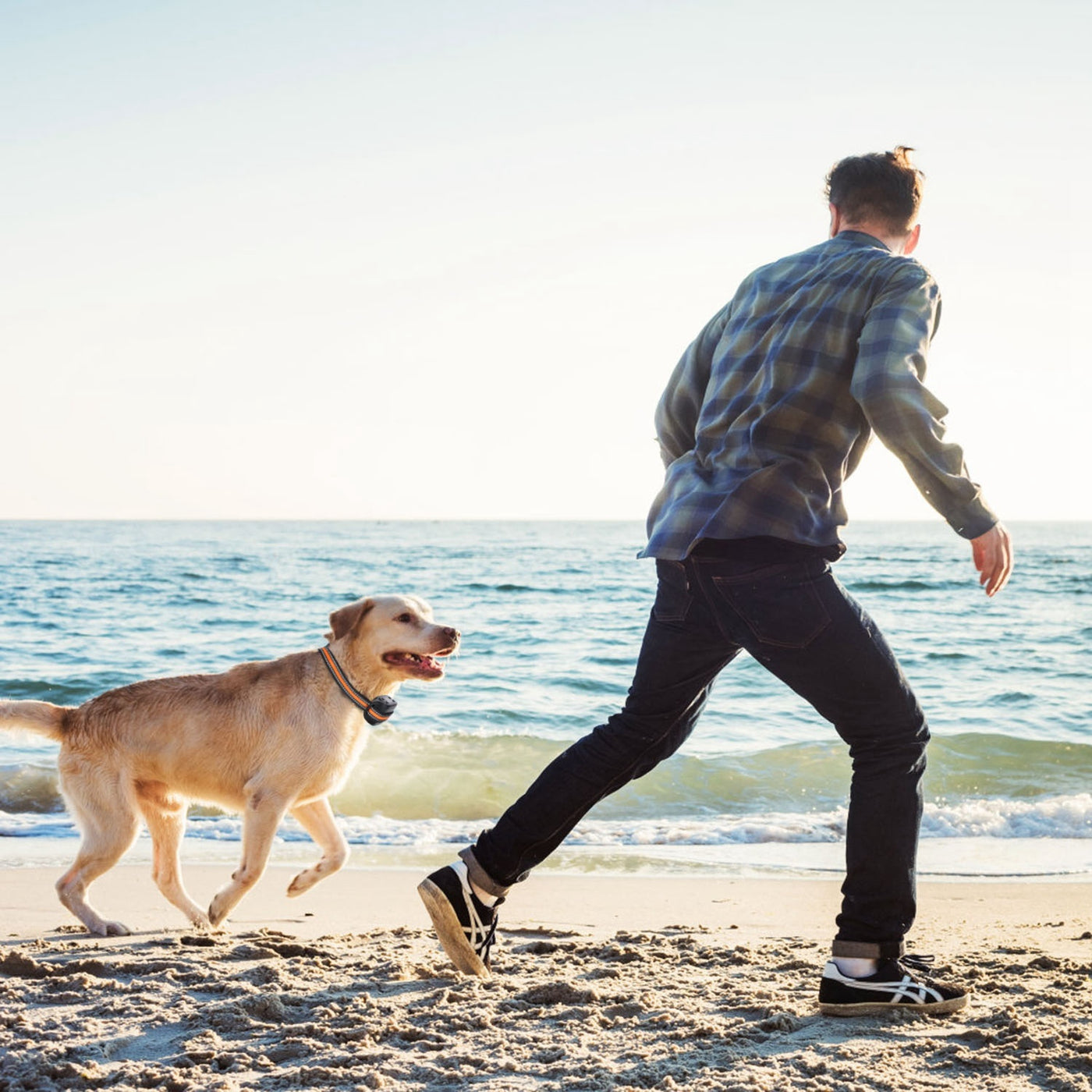 2-In-1 Dog GPS Fence Tracker Wireless
