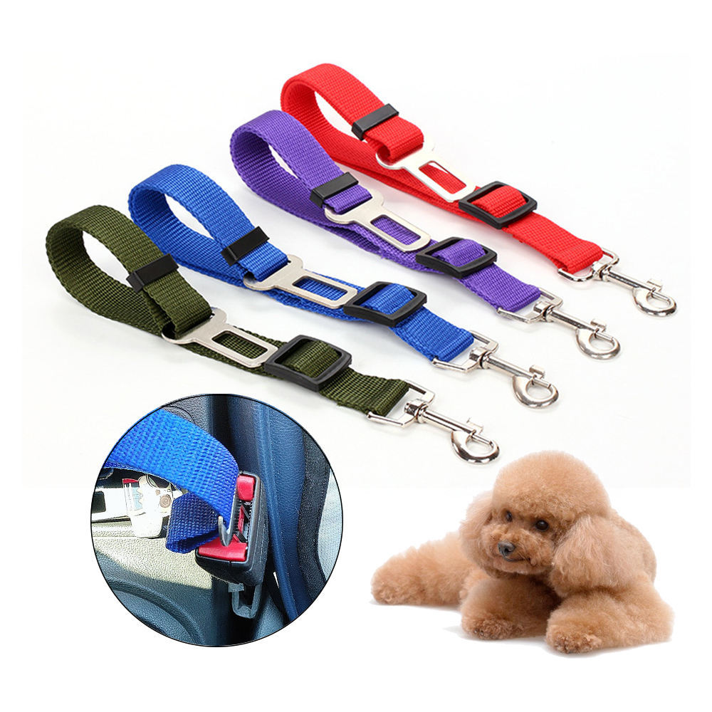 SafeRide - Premium Car Leash