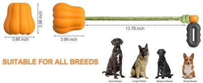 Pumpkin Tug