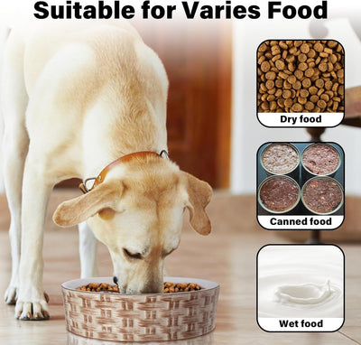 SlowPaw - Ceramic Slow Feeder Dog Bowl
