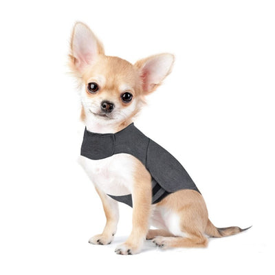 Vêtements pour animaux de compagnie, veste anti-anxiété pour chien, gilet chaud