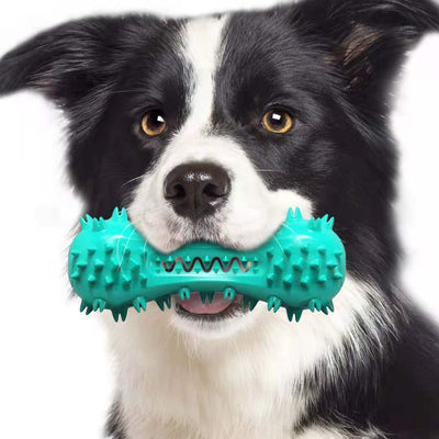 Bâton DentalPaw