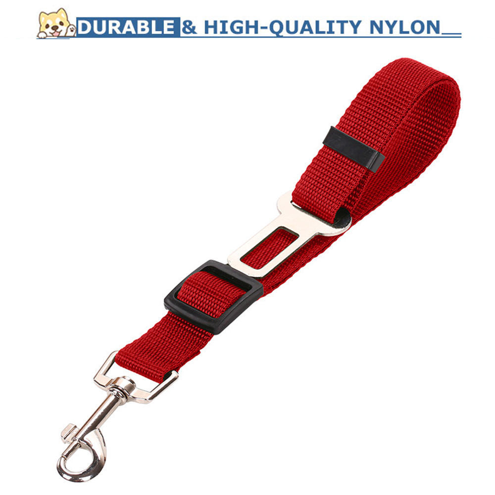 SafeRide - Premium Car Leash