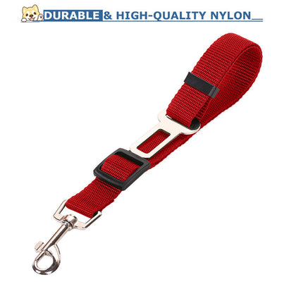 SafeRide - Premium Car Leash
