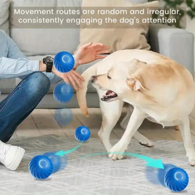 PawBounce