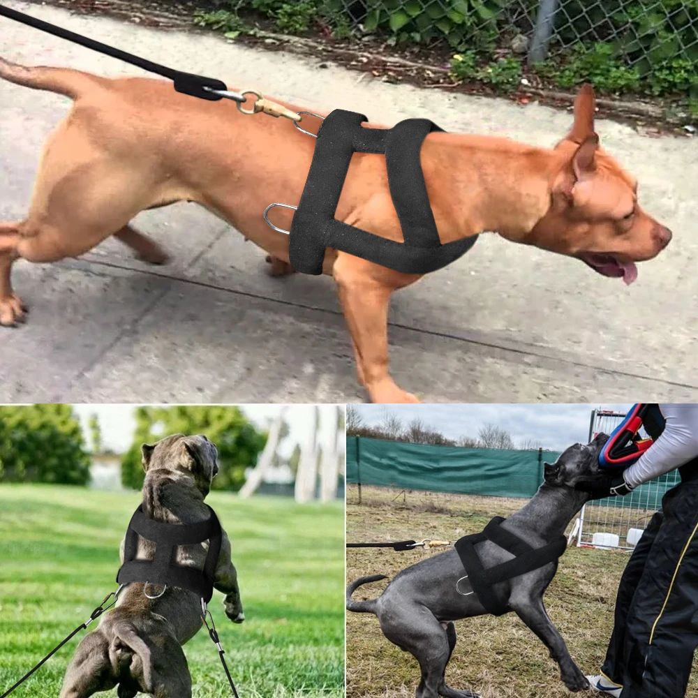 PowePaw - Dog Weight Pulling Harness