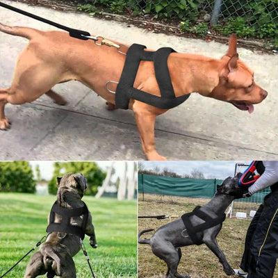 PowePaw - Dog Weight Pulling Harness