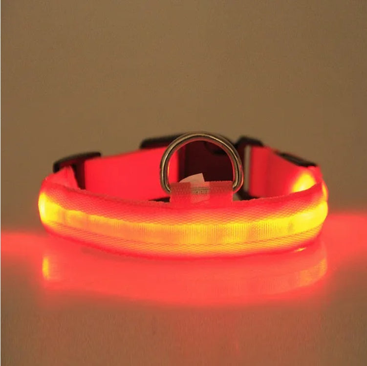 LED Pet Safety