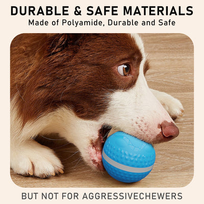 Balle SmartPaw