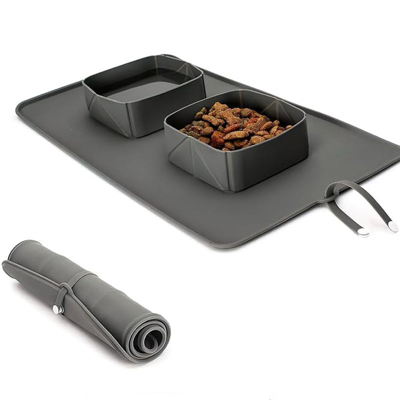 PawLapse - Generic Portable Pet Feeder