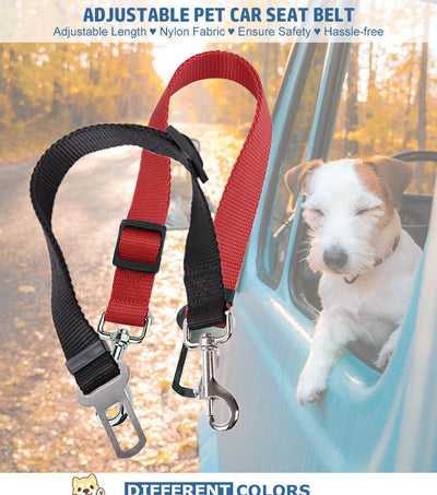SafeRide - Premium Car Leash