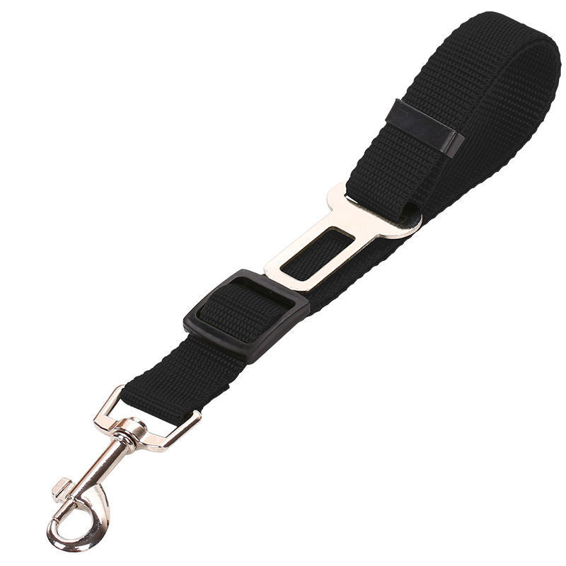 SafeRide - Premium Car Leash