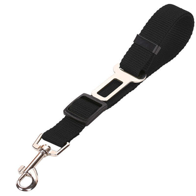 SafeRide - Premium Car Leash