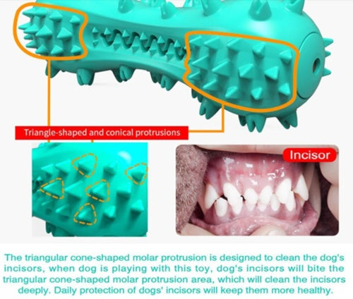 Bâton DentalPaw