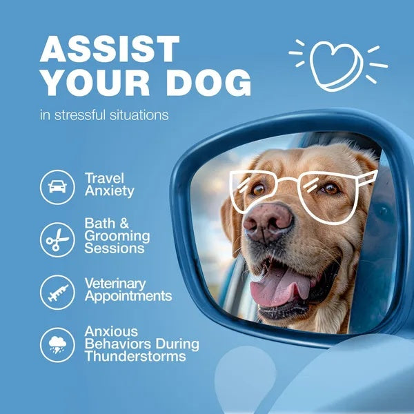 Hemp Calming Chews - For Dogs Dog Calming Treats Anxiety Relief