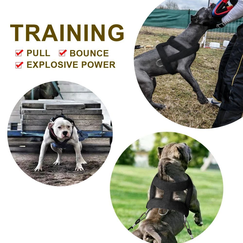 PowePaw - Dog Weight Pulling Harness