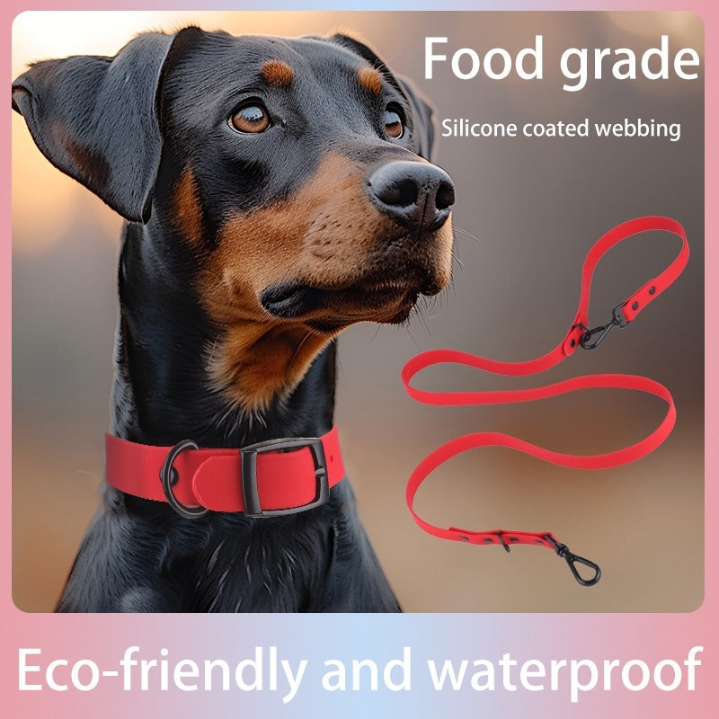 Ensemble collier et laisse en silicone pour animaux de compagnie