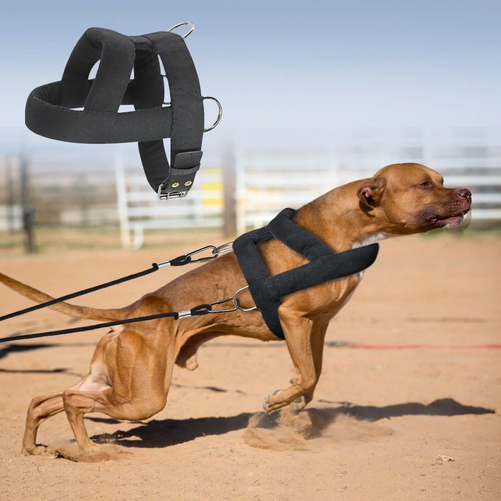 PowePaw - Dog Weight Pulling Harness