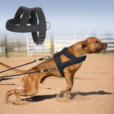 PowePaw - Dog Weight Pulling Harness