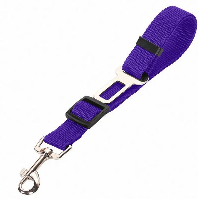SafeRide - Premium Car Leash