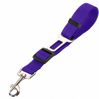 SafeRide - Premium Car Leash