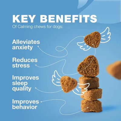 Hemp Calming Chews - For Dogs Dog Calming Treats Anxiety Relief