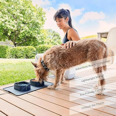 PawLapse - Generic Portable Pet Feeder