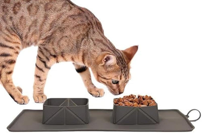 PawLapse - Generic Portable Pet Feeder